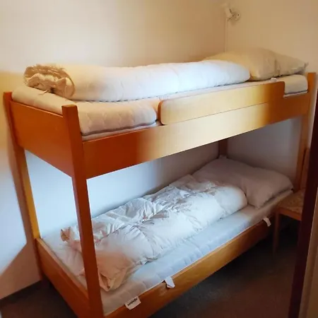 Apartment Next To Zwoelferkogel Include Jokercard Saalbach-Hinterglemm